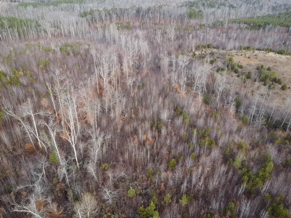 60 Acres Herzig Road Property Photo 22