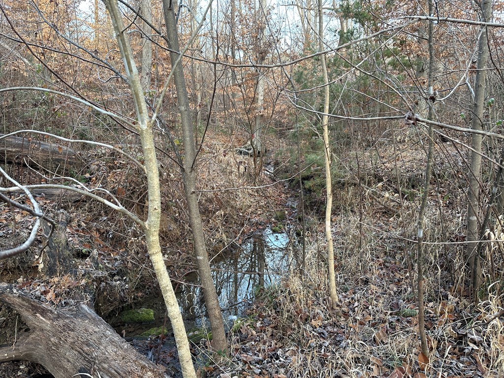 60 Acres Herzig Road Property Photo 24