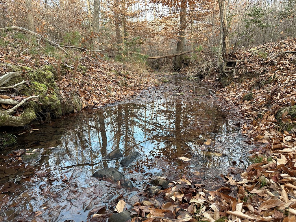 60 Acres Herzig Road Property Photo 28