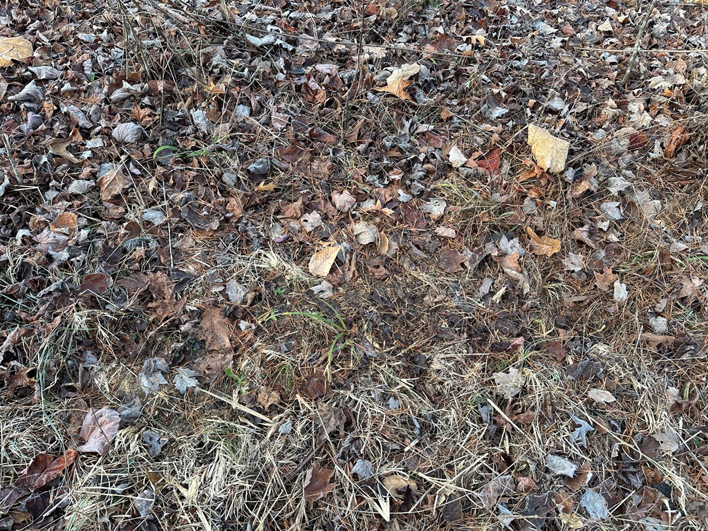 60 Acres Herzig Road Property Photo 30