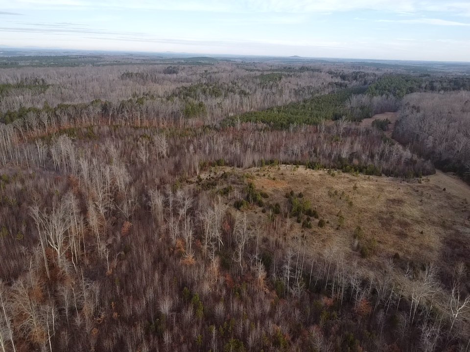 60 Acres Herzig Road Property Photo 34