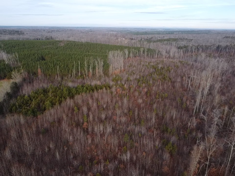 60 Acres Herzig Road Property Photo 35