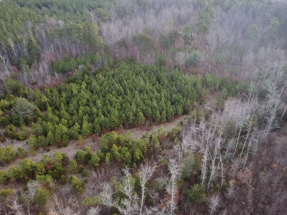 60 Acres Herzig Road Property Photo 36