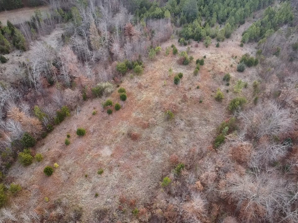 60 Acres Herzig Road Property Photo 38