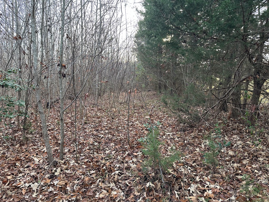 60 Acres Herzig Road Property Photo 39