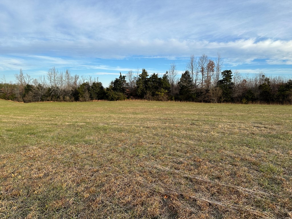 60 Acres Herzig Road Property Photo 40