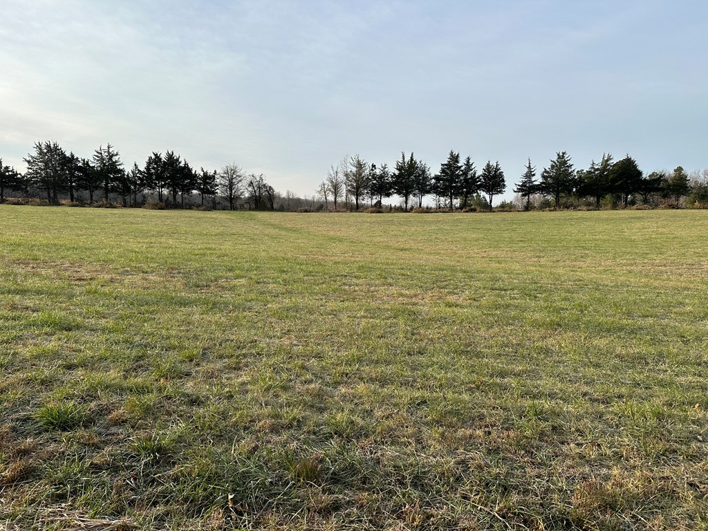 60 Acres Herzig Road Property Photo 41