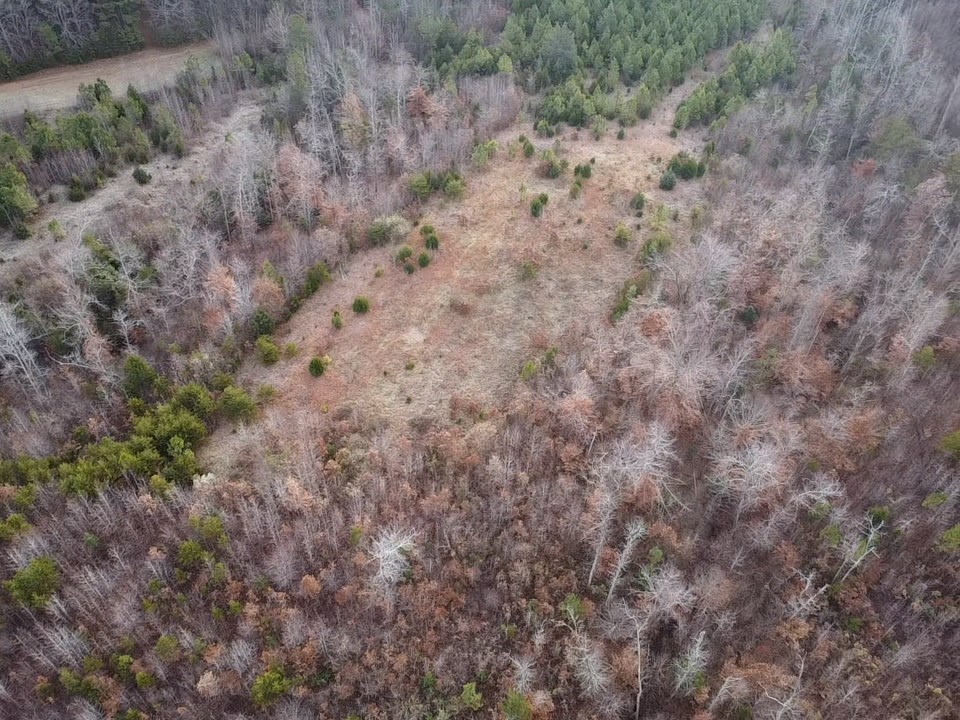 60 Acres Herzig Road Property Photo 42