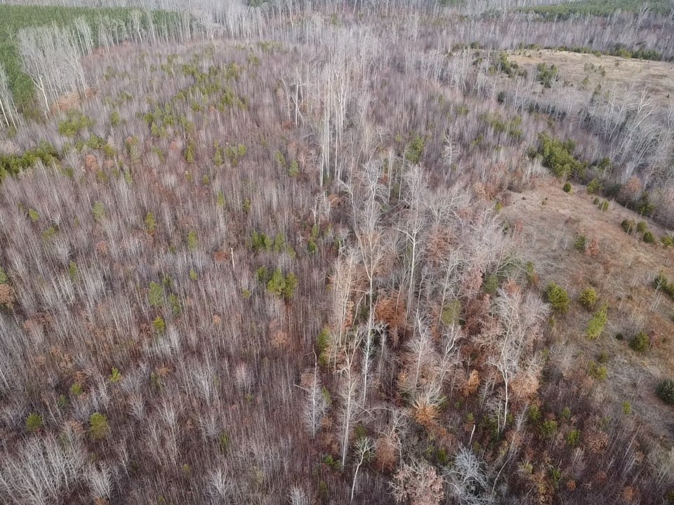 60 Acres Herzig Road Property Photo 44