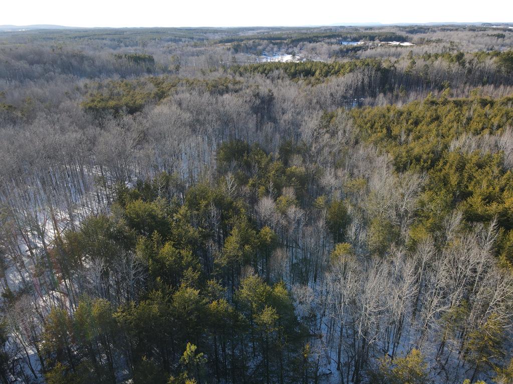 380 Redd Lane Property Photo 16