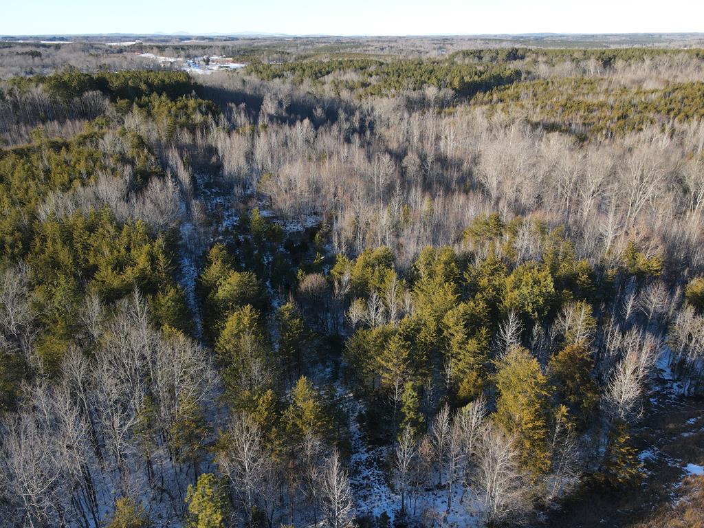 380 Redd Lane Property Photo 18