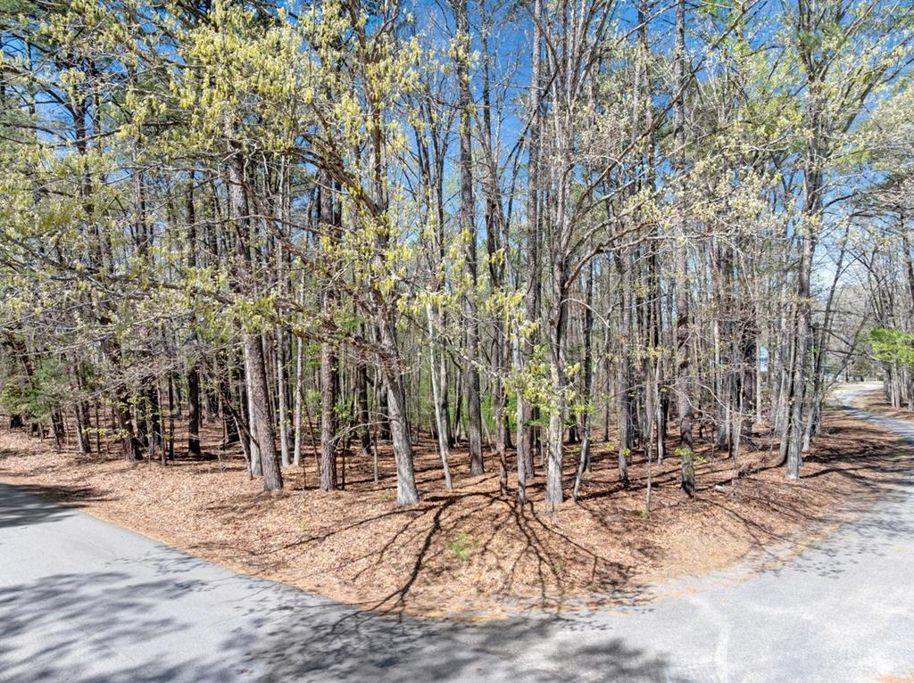 821 Lake Point Drive Property Photo 1