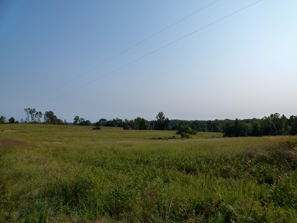 2052 Chisolm Trail Property Photo 9