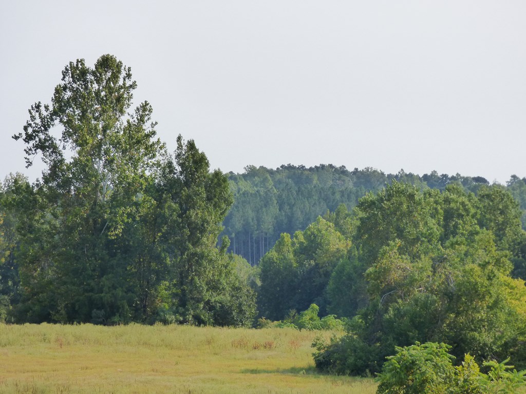 2052 Chisolm Trail Property Photo 10