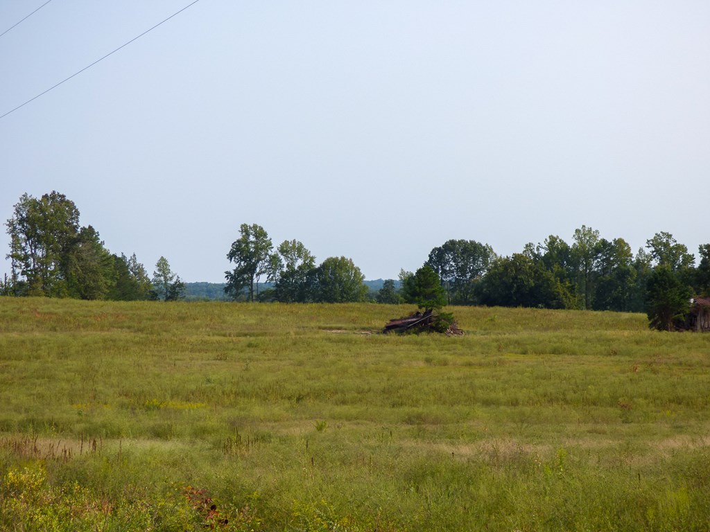 2052 Chisolm Trail Property Photo 11