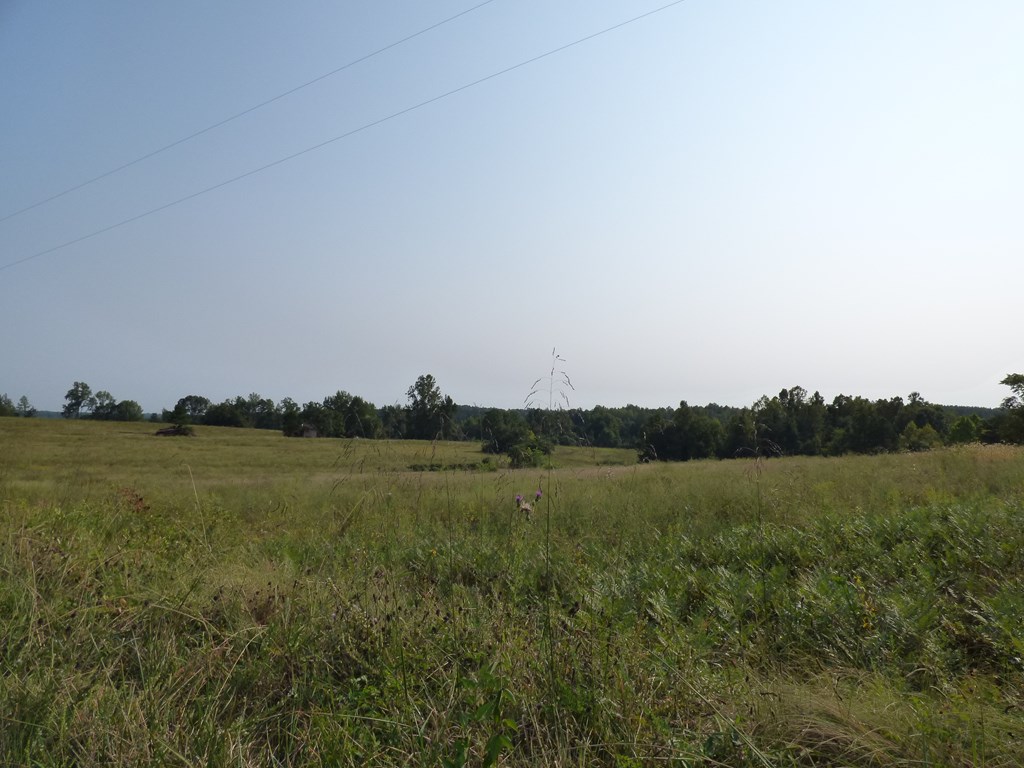 2052 Chisolm Trail Property Photo 12
