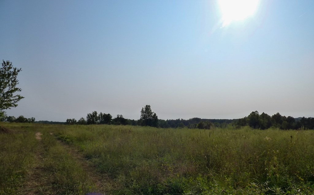 2052 Chisolm Trail Property Photo 13
