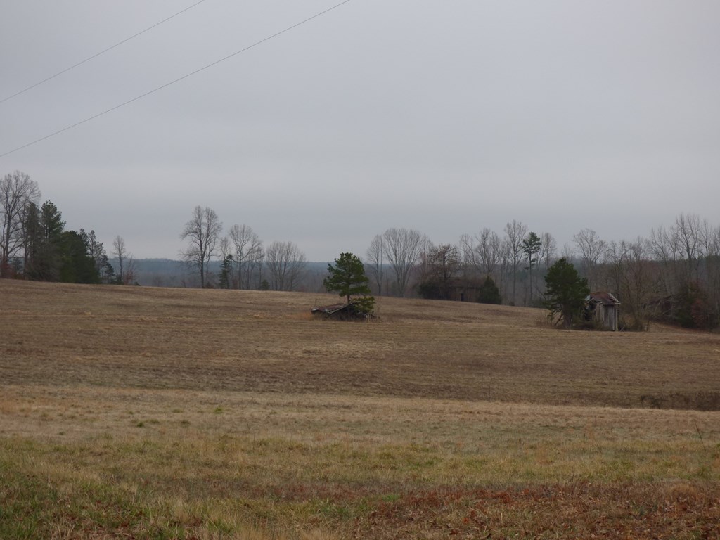 2052 Chisolm Trail Property Photo 14