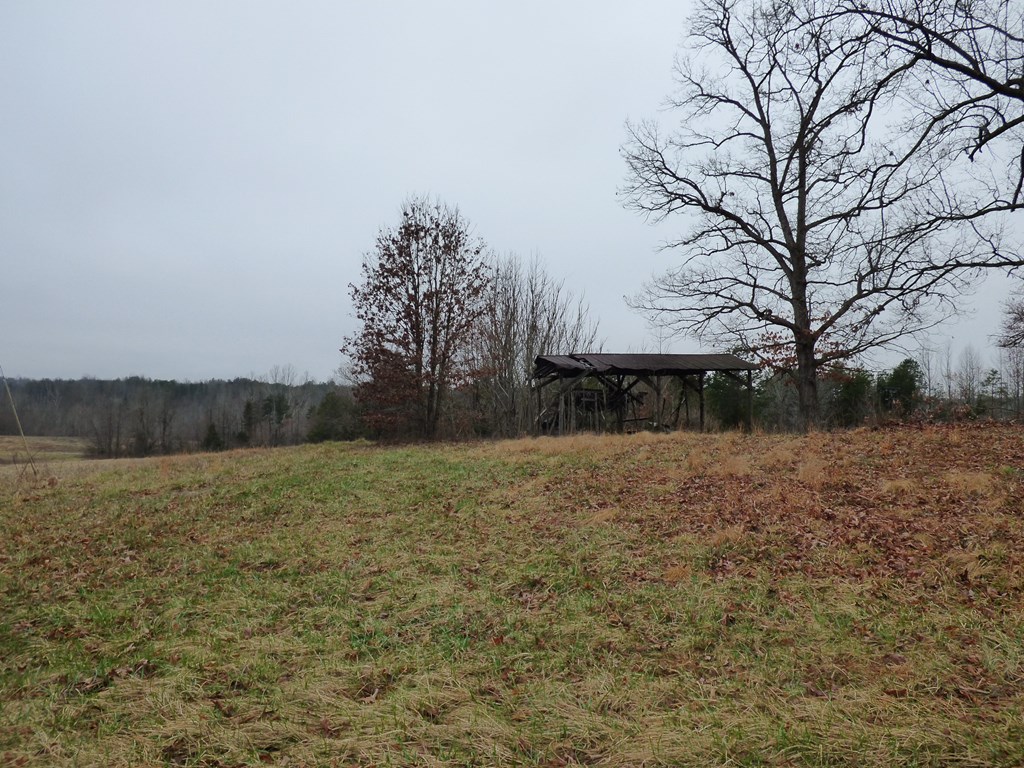 2052 Chisolm Trail Property Photo 15