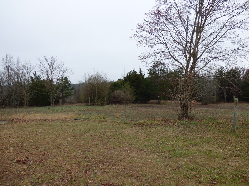 2052 Chisolm Trail Property Photo 17