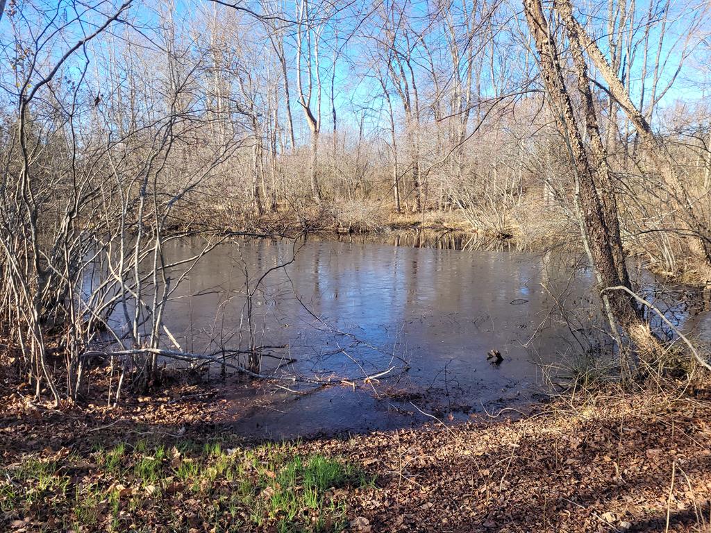 2052 Chisolm Trail Property Photo 19