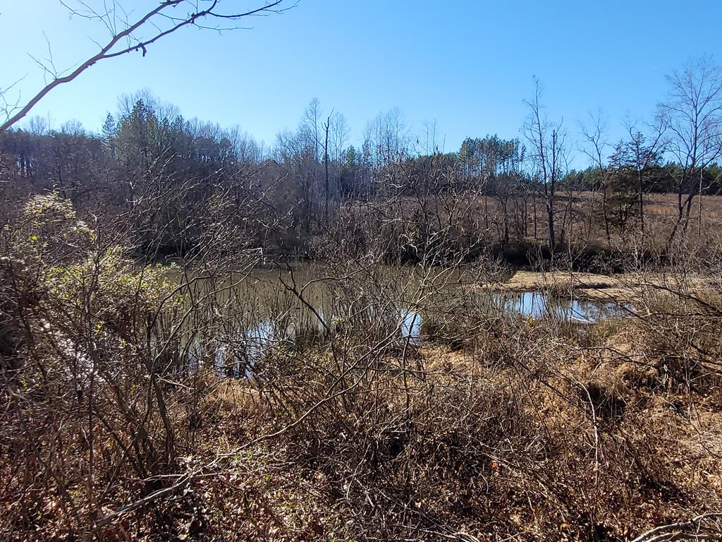2052 Chisolm Trail Property Photo 20