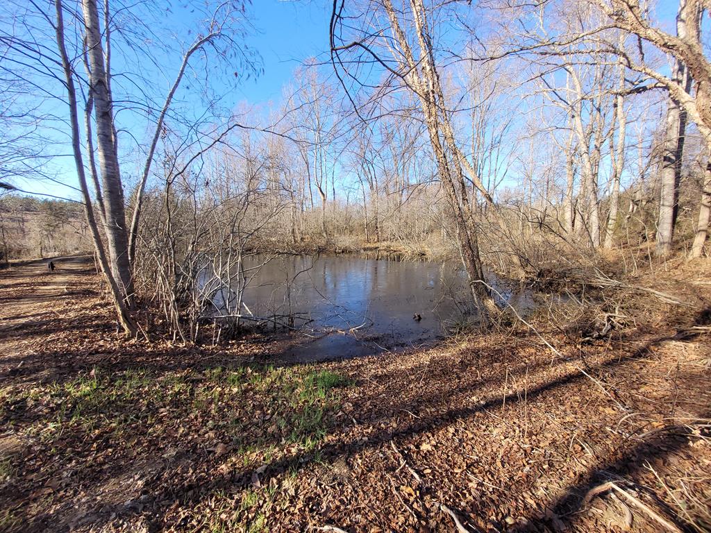 2052 Chisolm Trail Property Photo 21