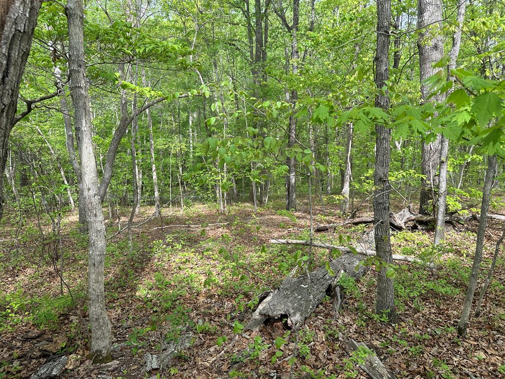 Lt 8-10 Lakefront Drive Property Photo 1