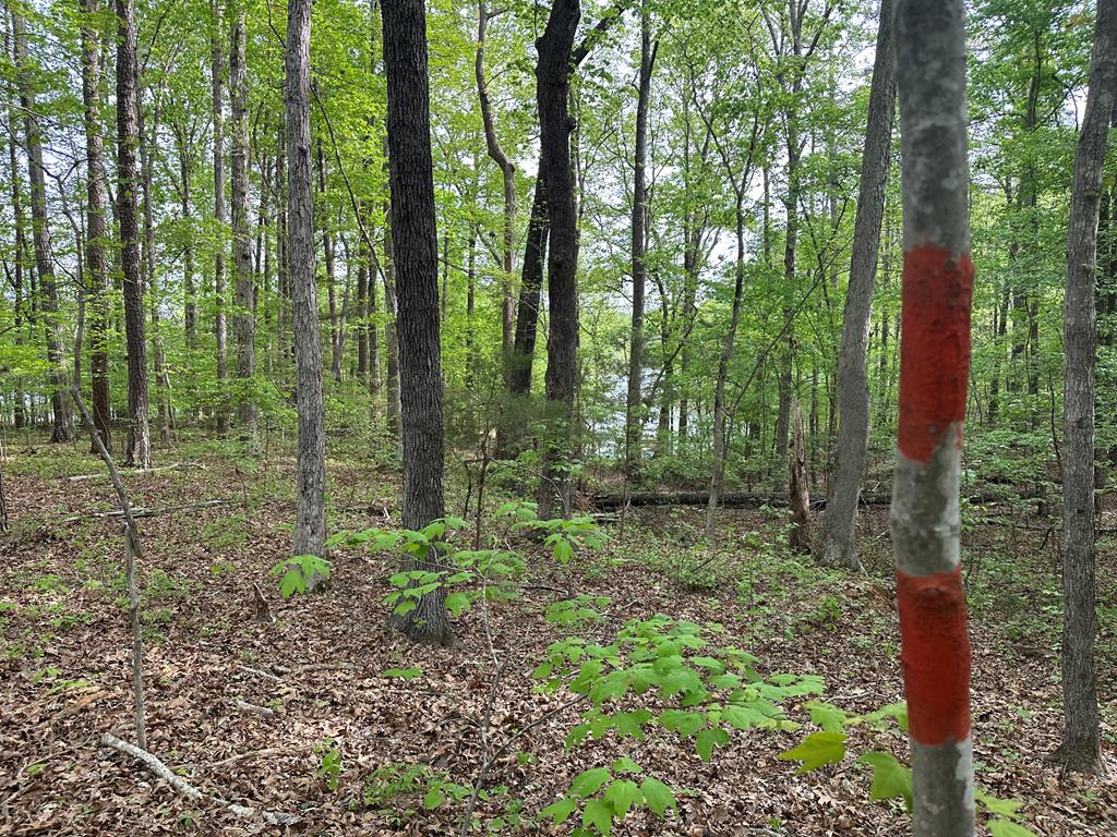 Lt 11-15 Lakefront Drive Property Photo 1