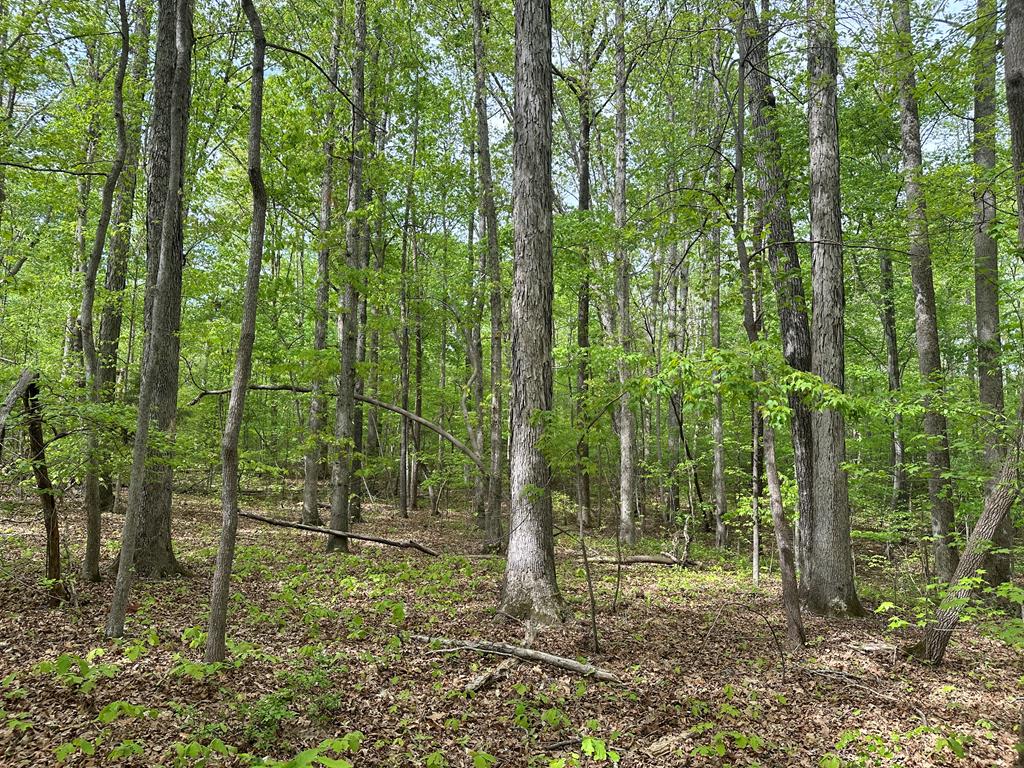 Lt 17-19 Lakefront Drive Property Photo 1