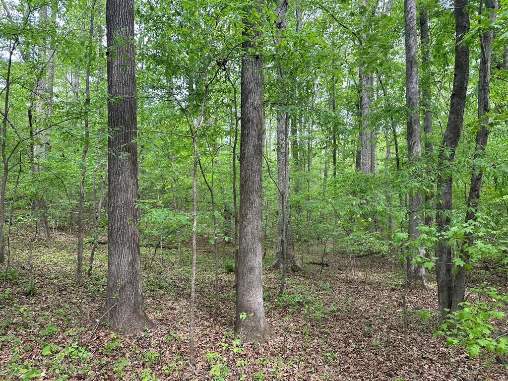 Lt 22-24 Lakefront Drive Property Photo 1