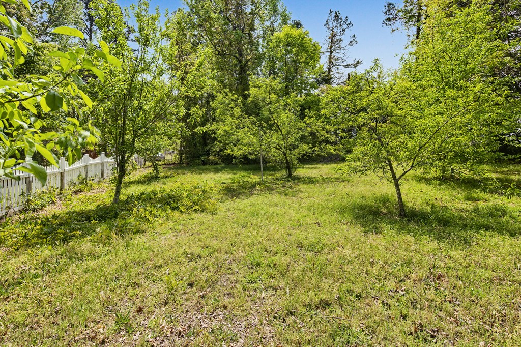 1145 Duck Trail Property Photo 42