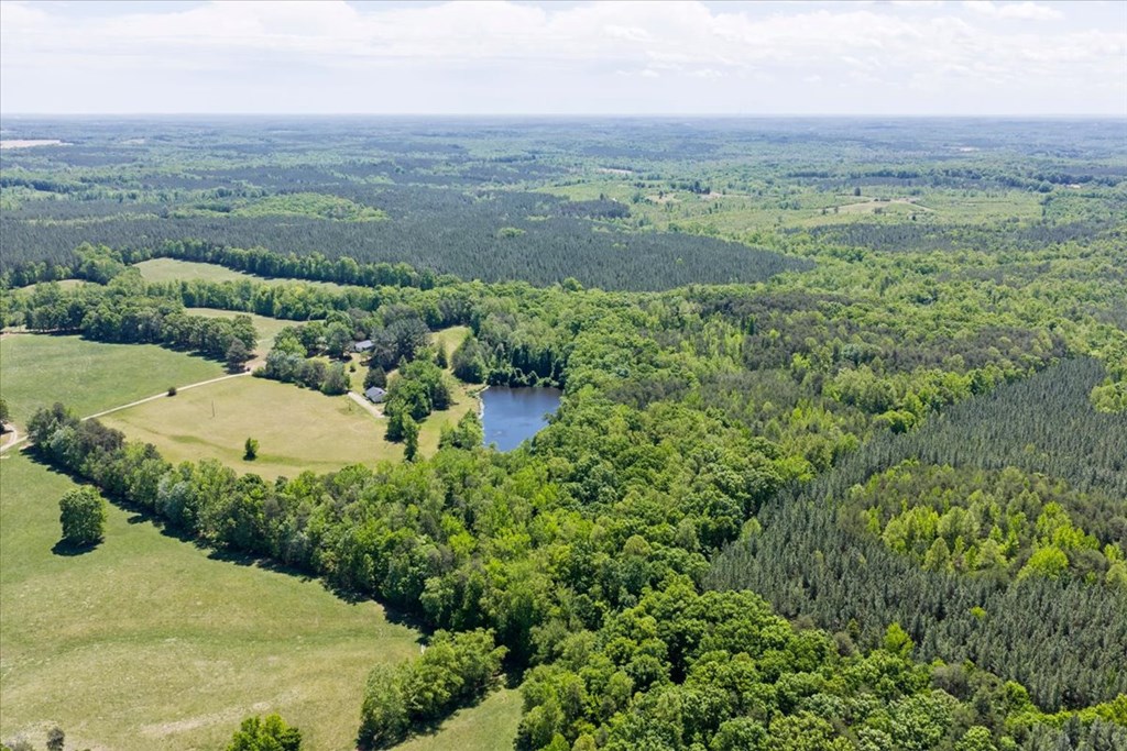 1200 Rawlings Trail Property Photo 4