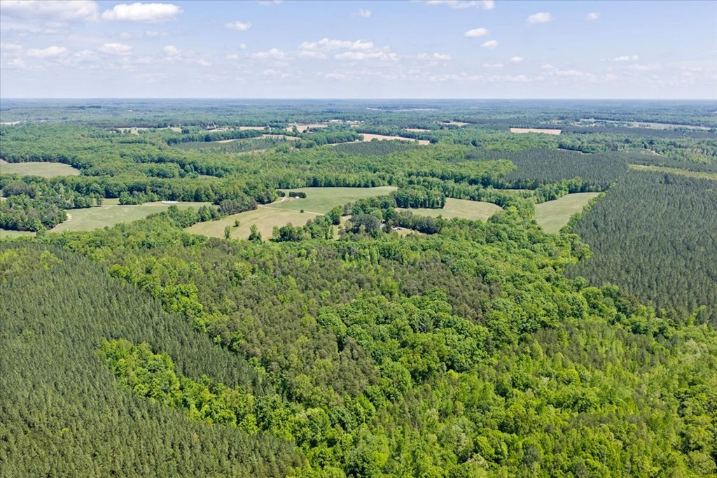 1200 Rawlings Trail Property Photo 5