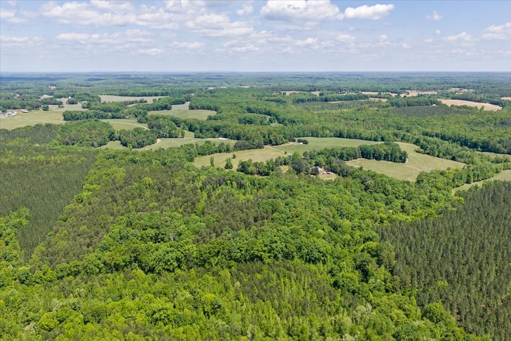 1200 Rawlings Trail Property Photo 6
