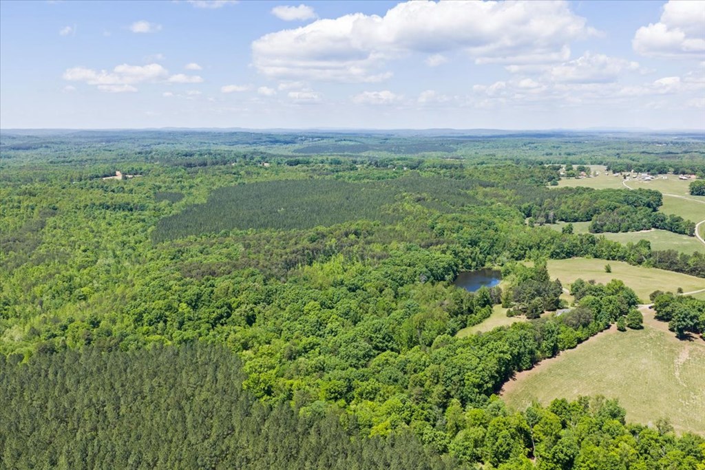 1200 Rawlings Trail Property Photo 8