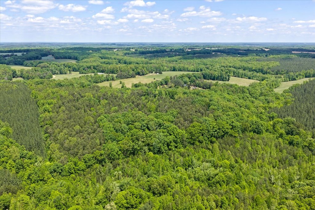 1200 Rawlings Trail Property Photo 24
