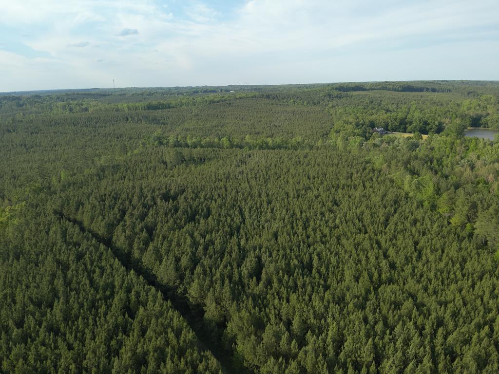 60.52 Ac S Terrys Bridge Road Property Photo 1