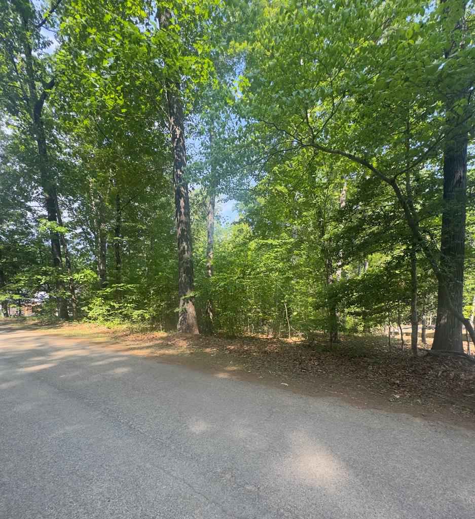 .69 Ac Lewis Road Property Photo 1