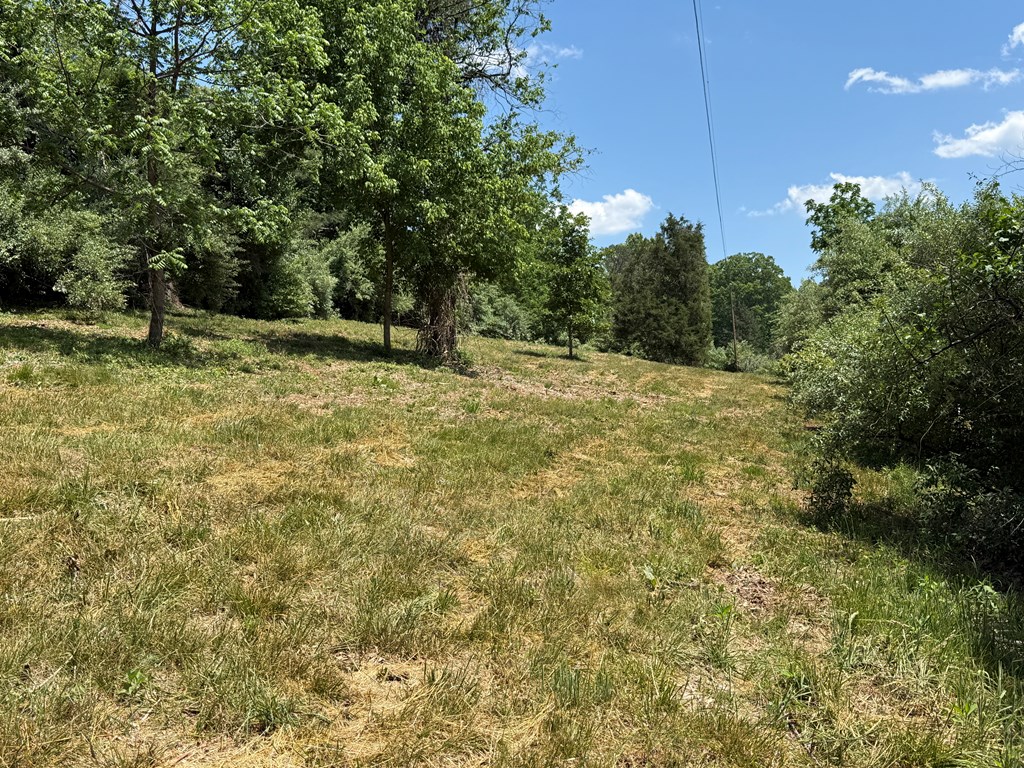 2010 Lakeside Drive Property Photo 5