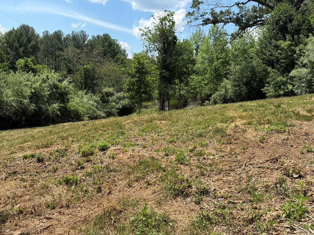 2010 Lakeside Drive Property Photo 6