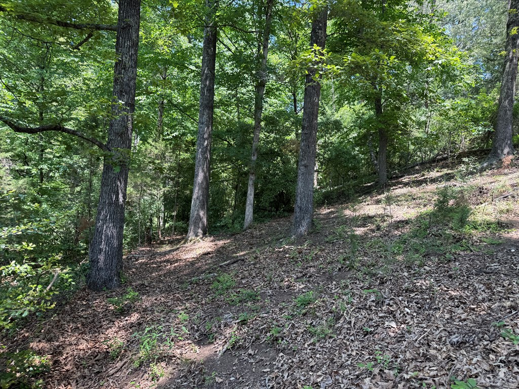 2010 Lakeside Drive Property Photo 13