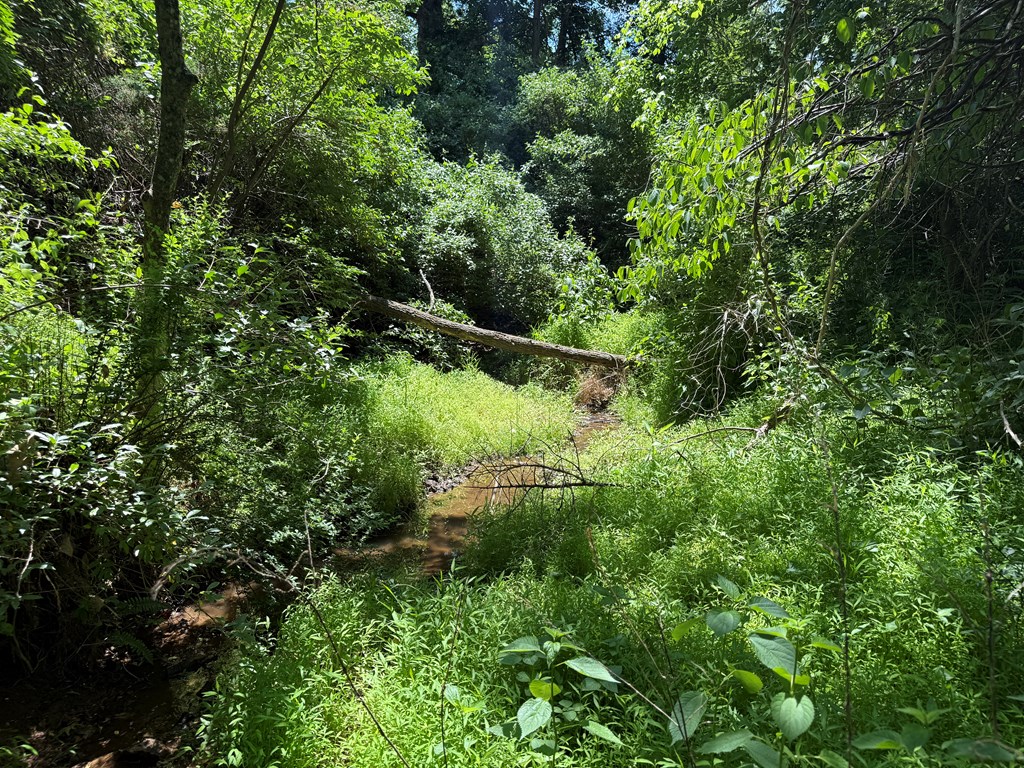 2010 Lakeside Drive Property Photo 15