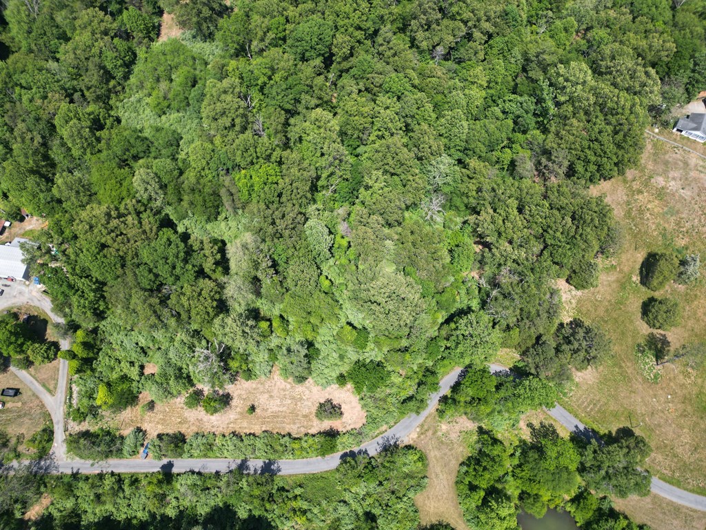 2010 Lakeside Drive Property Photo 17