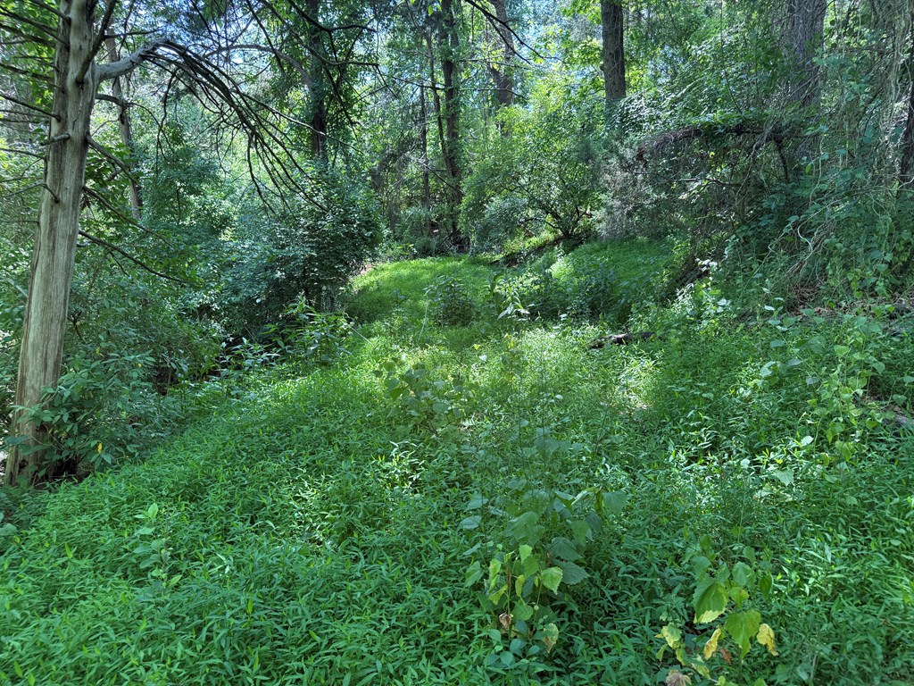 2010 Lakeside Drive Property Photo 23