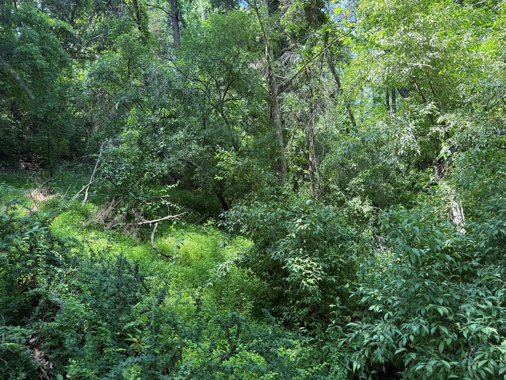 2010 Lakeside Drive Property Photo 24