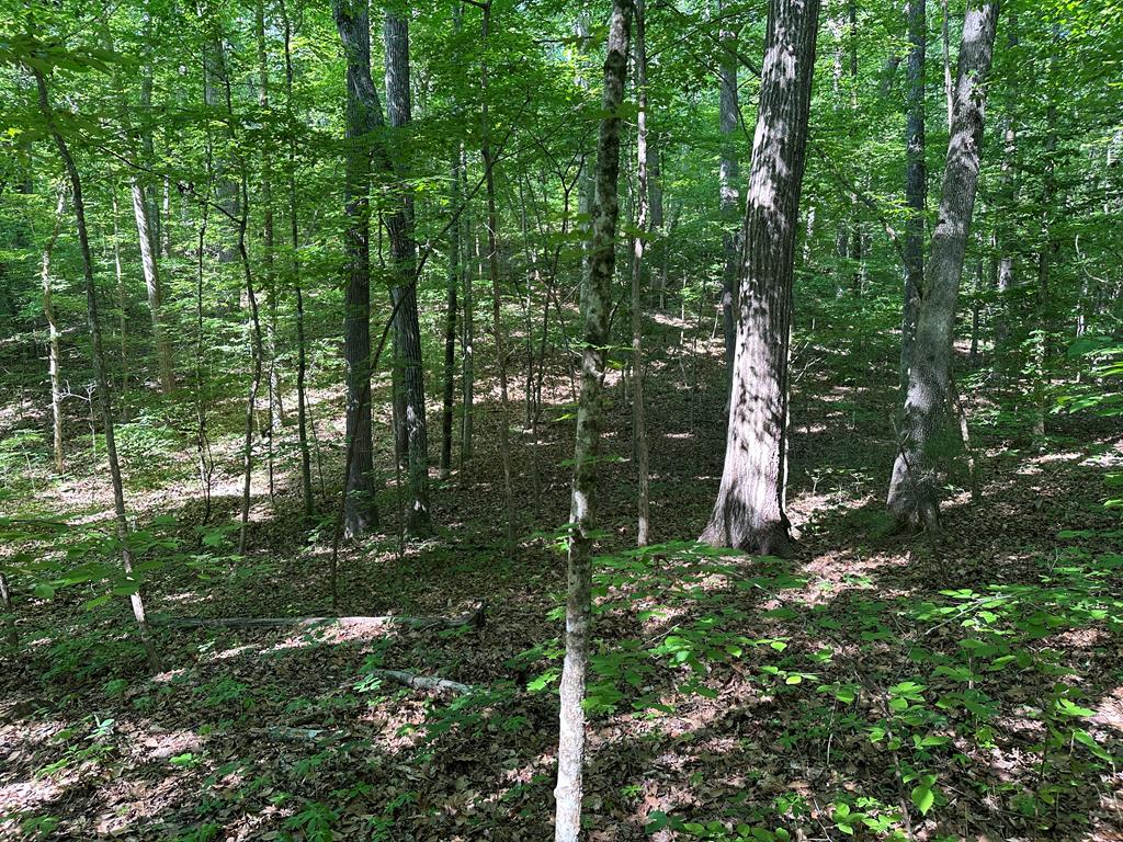 1.3 Acs Monacarn Court Property Photo 1