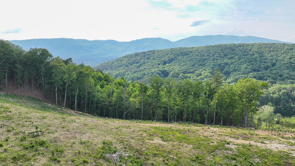 Uc001 Botetourt Road Property Photo 6