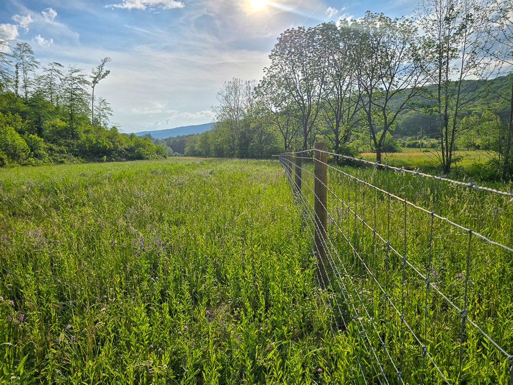 Uc001 Botetourt Road Property Photo 8