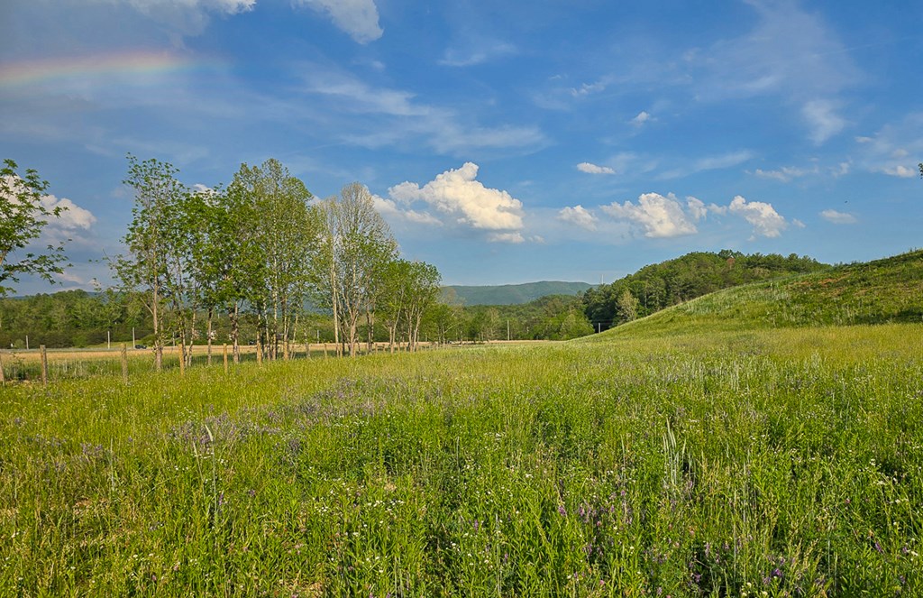 Uc001 Botetourt Road Property Photo 9